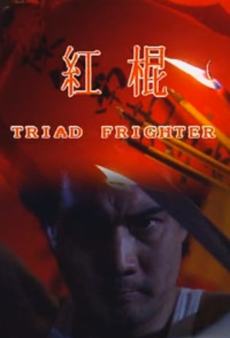 Poster of Triad Fighter