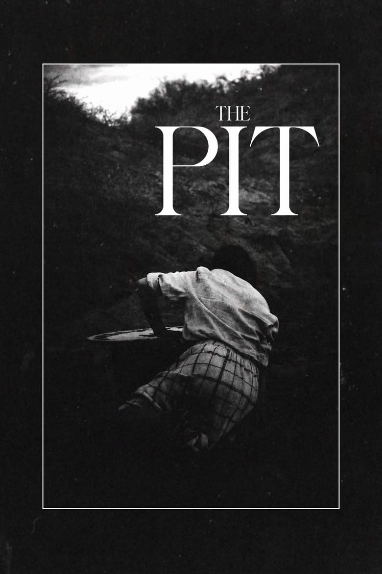 Poster of The Pit