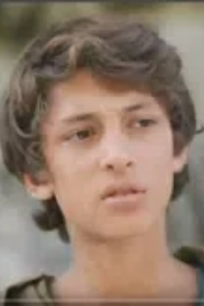 Poster of ნიკა მთაში