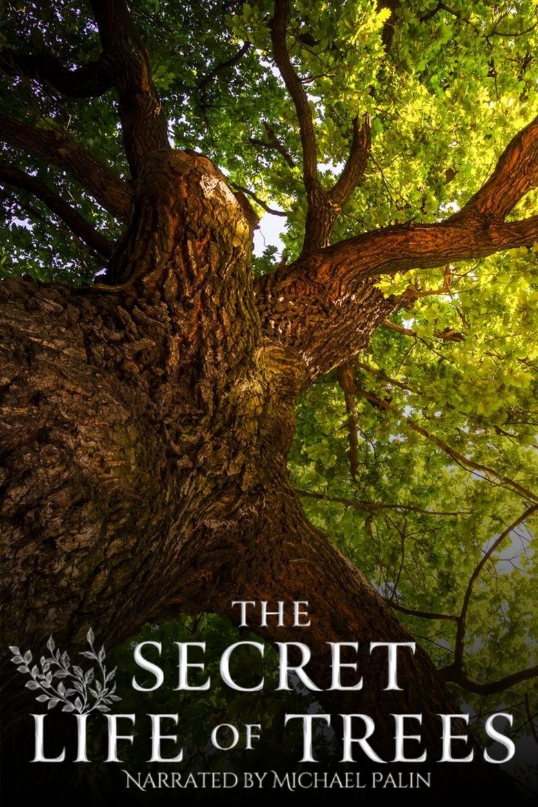 Poster of The Secret Life of Trees