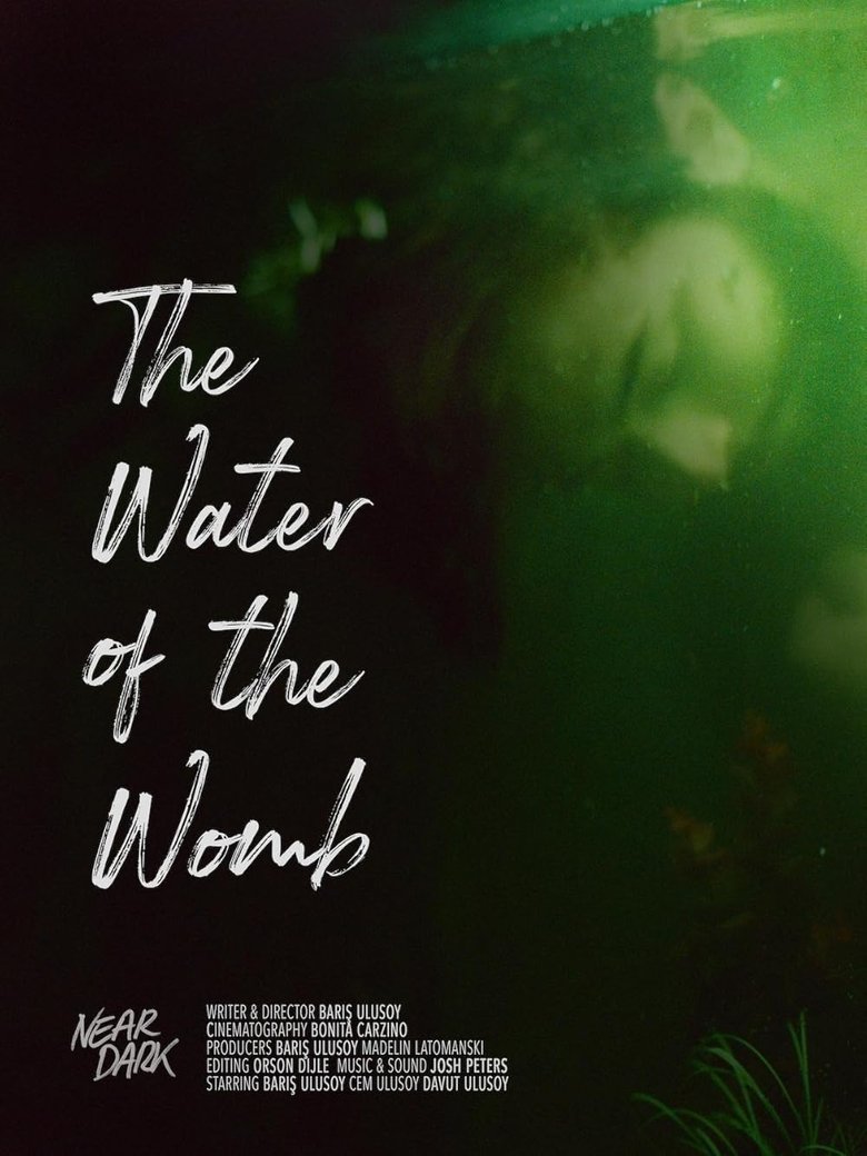 Poster of The Water Of The Womb