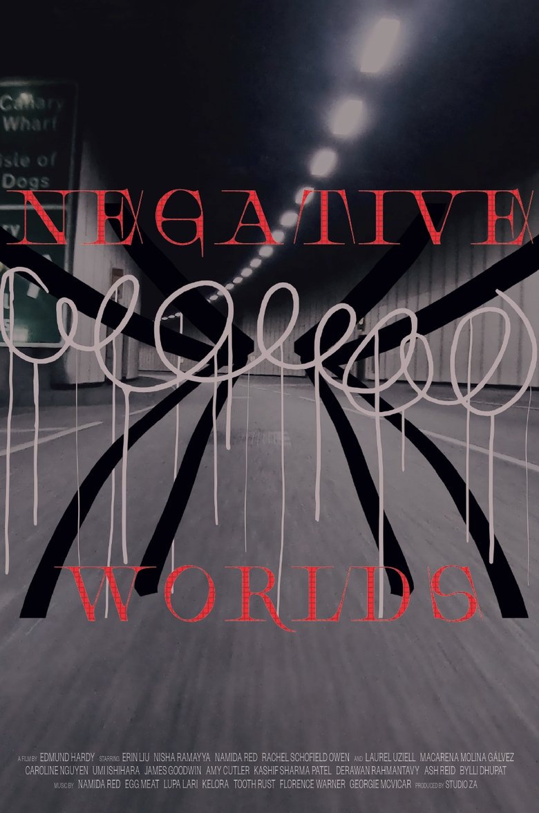 Poster of Negative Worlds