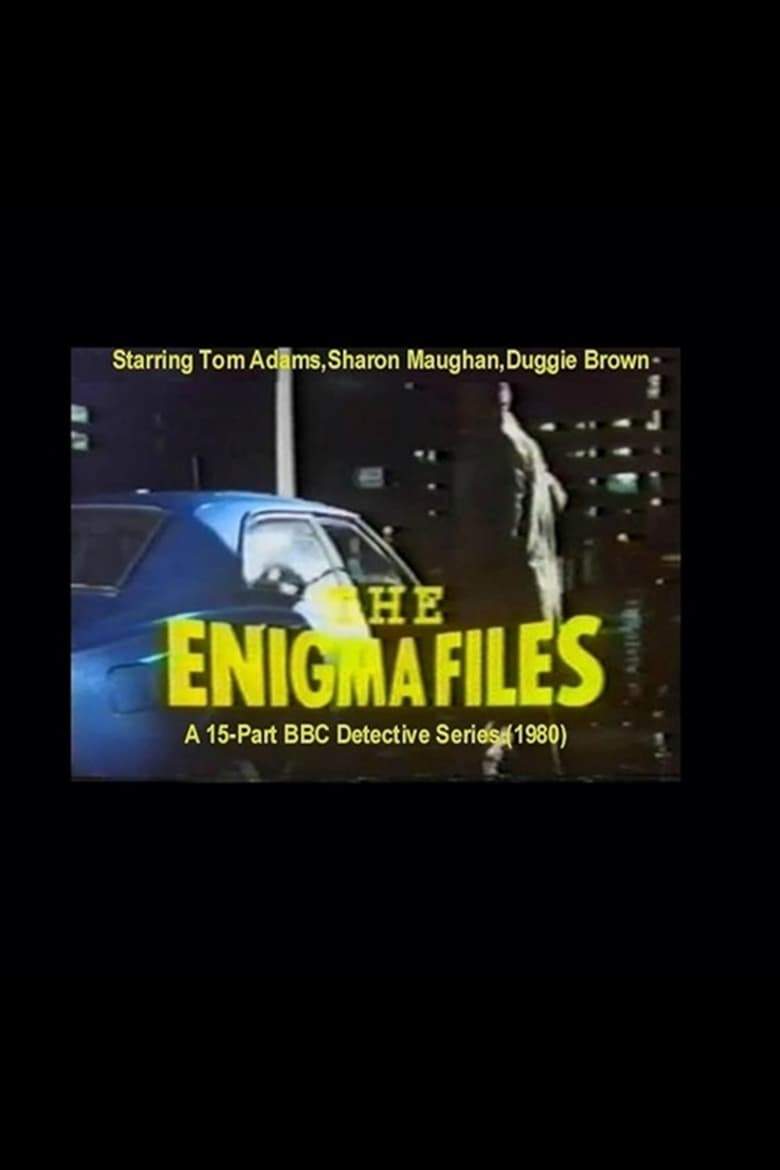 Poster of The Enigma Files