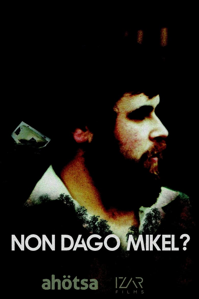 Poster of Where Is Mikel?