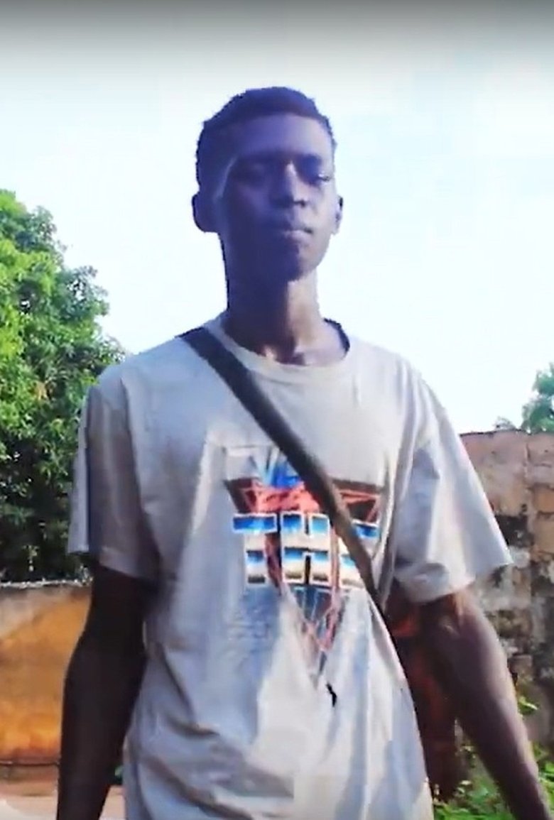 Poster of The Migrant Survivor