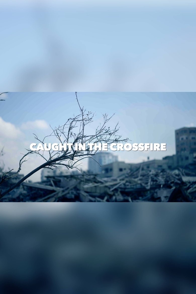 Poster of Caught in the crossfire