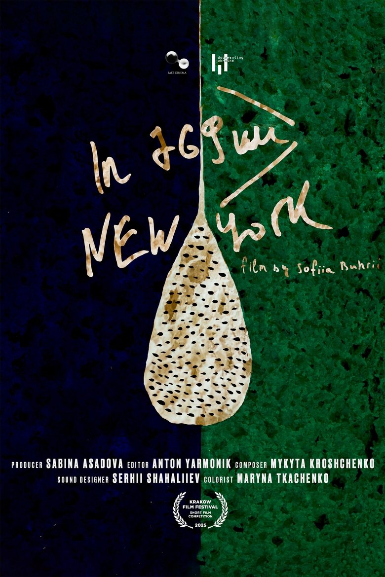 Poster of In 769 km, New York