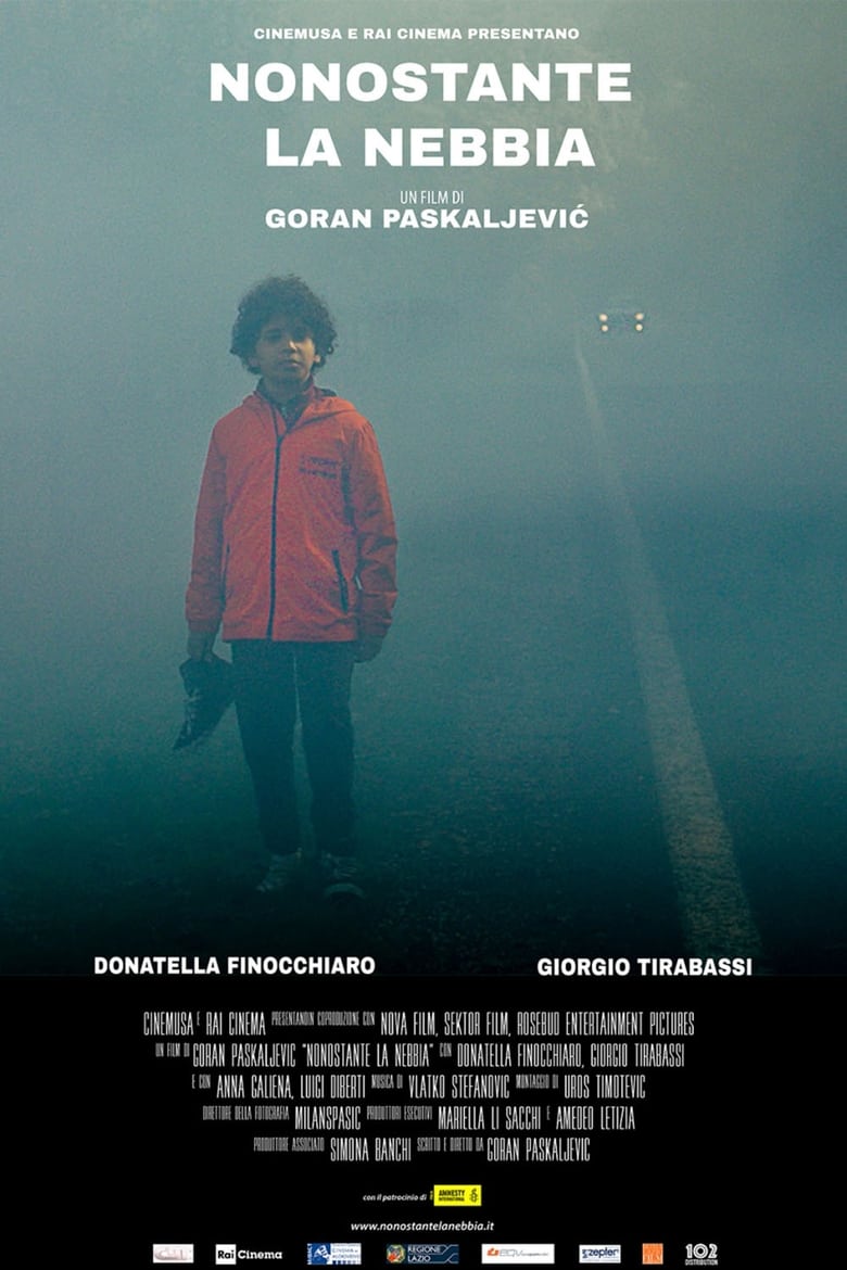 Poster of Despite the Fog