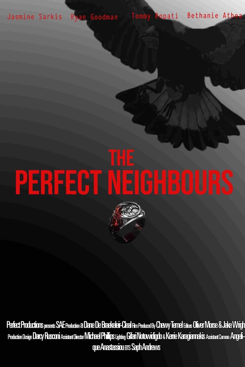 Poster of The Perfect Neighbours