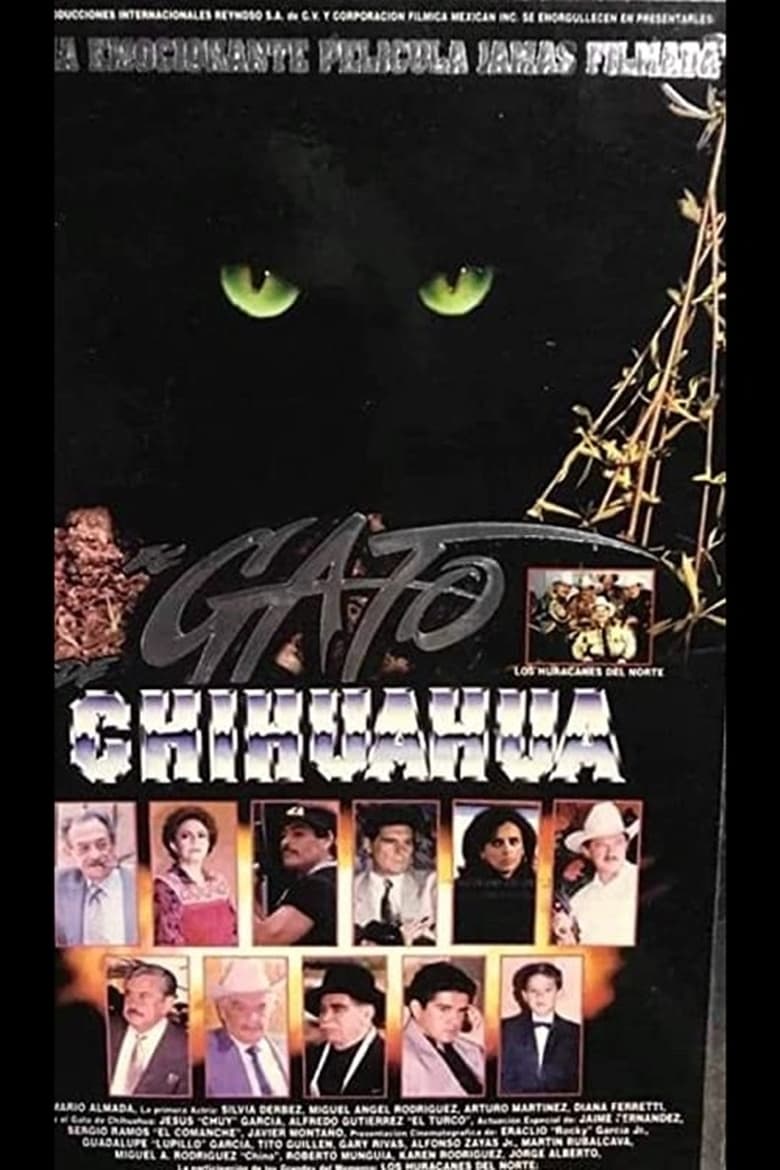 Poster of El gato de Chihuahua