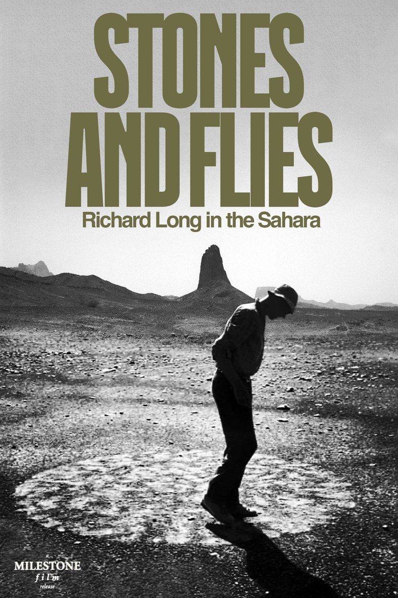 Poster of Stones and Flies: Richard Long in the Sahara
