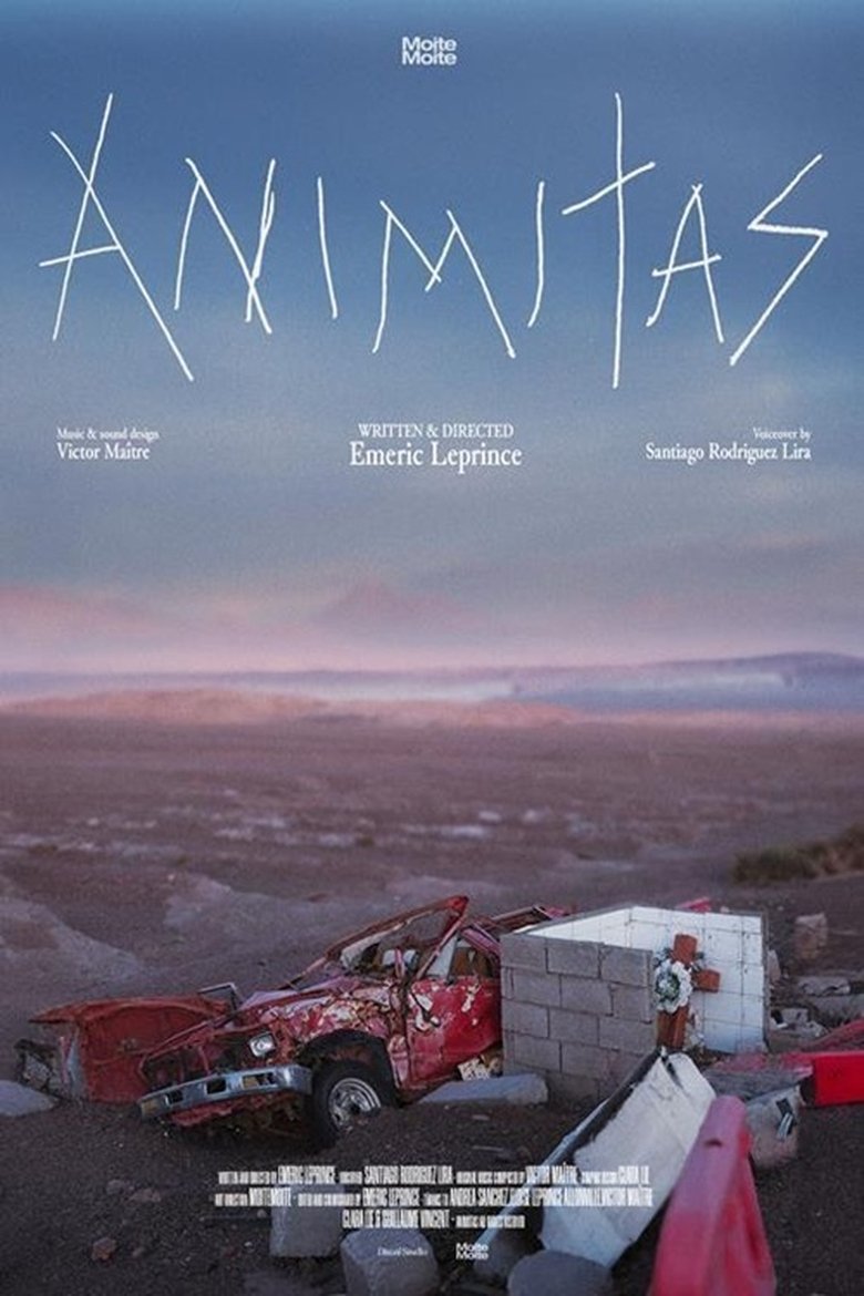 Poster of Animitas