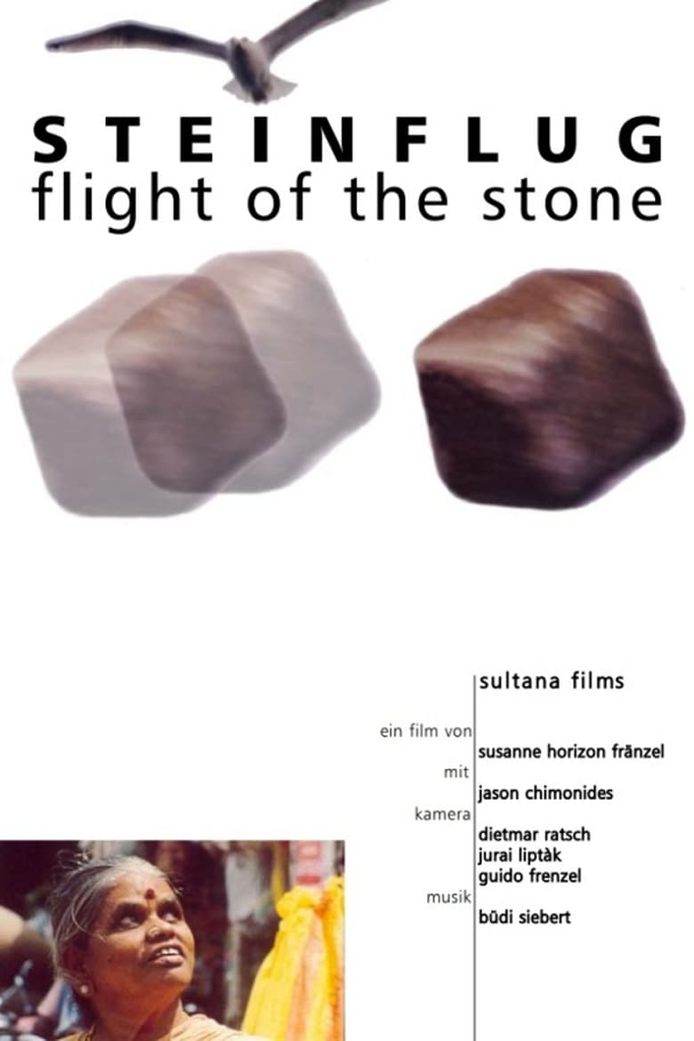 Poster of Flight of the Stone