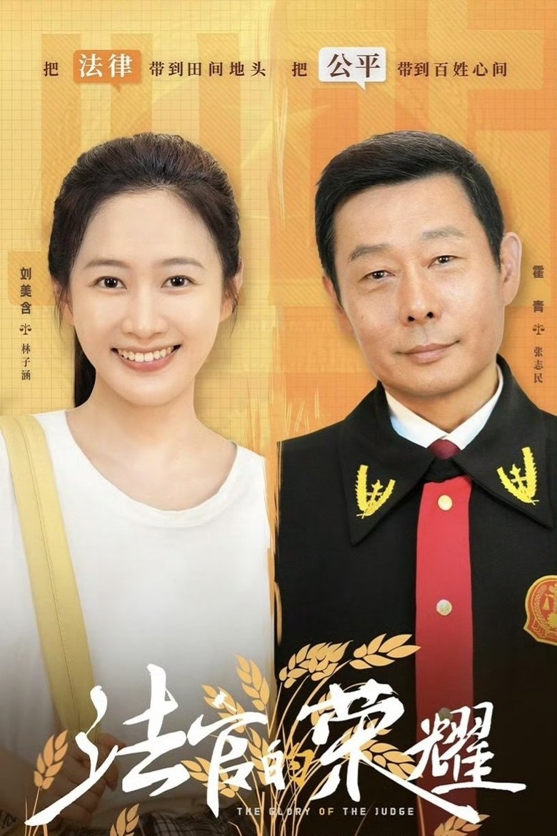 Poster of 法官的荣耀