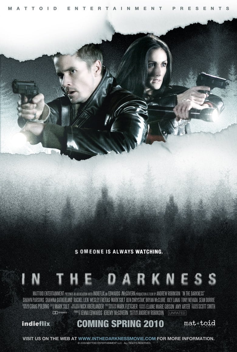 Poster of In the Darkness