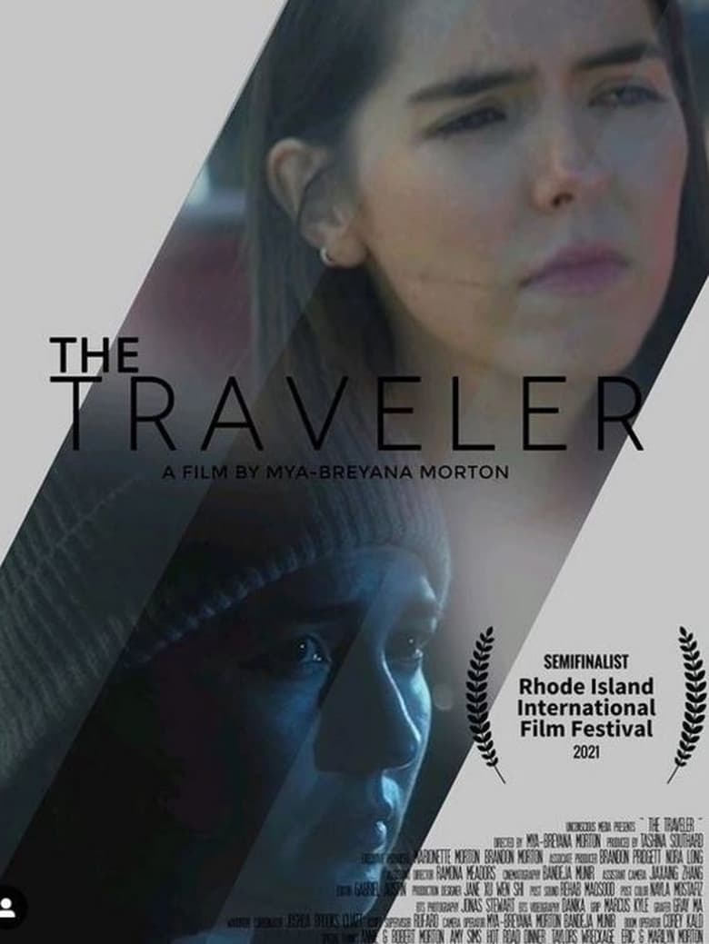 Poster of The Traveler