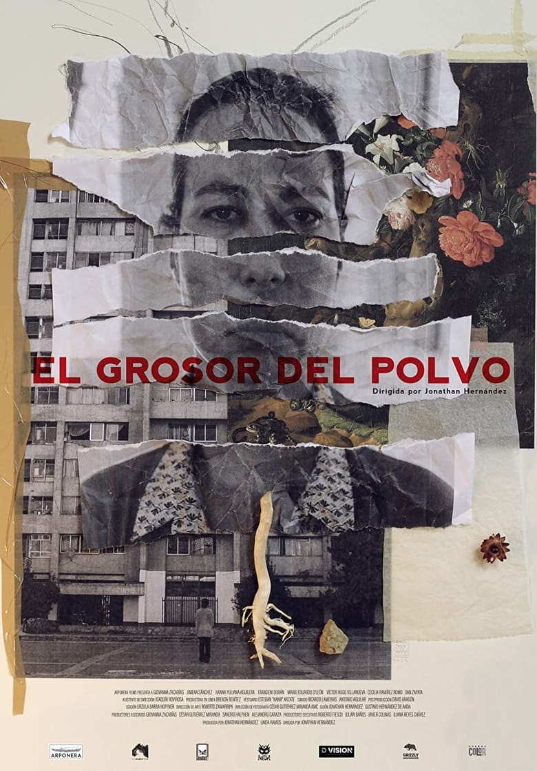 Poster of El Grosor del Polvo