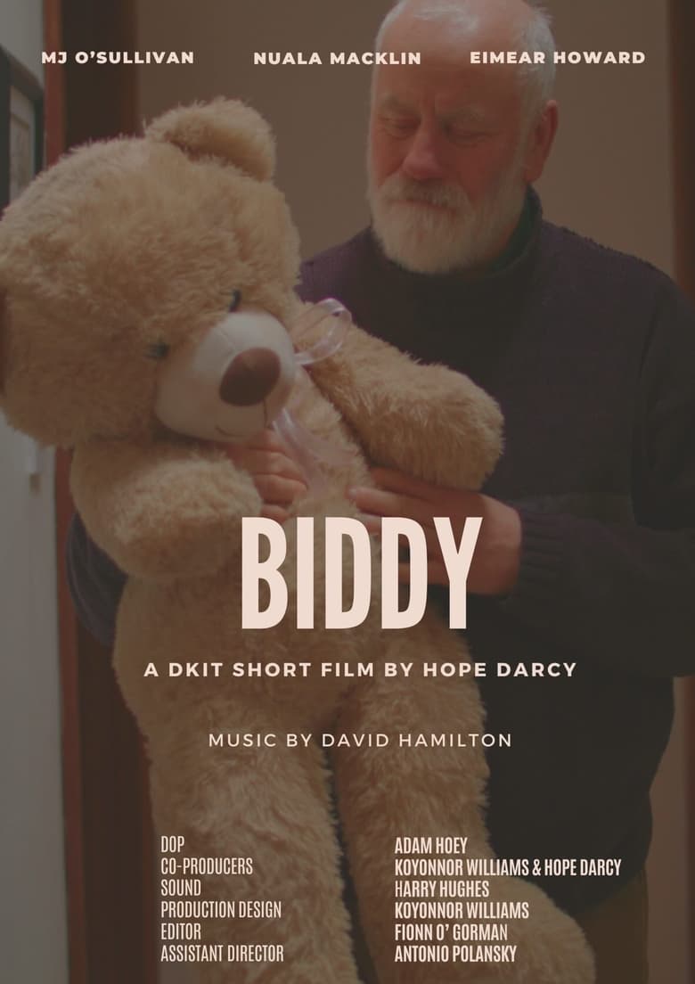 Poster of Biddy