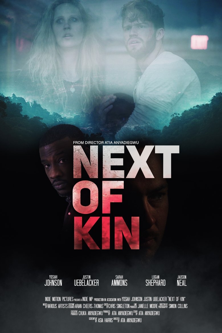 Poster of Next of Kin