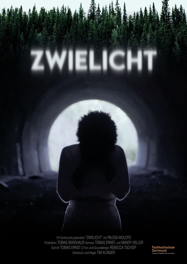 Poster of Zwielicht