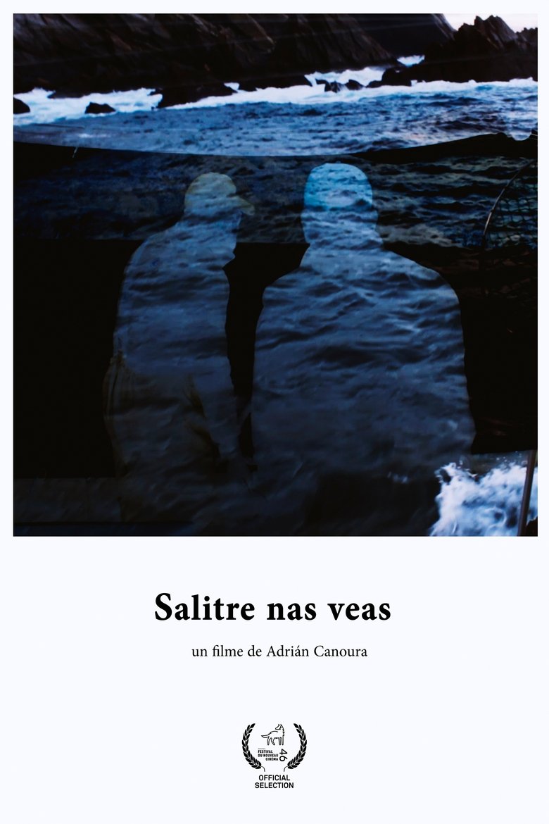 Poster of Salitre nas veas