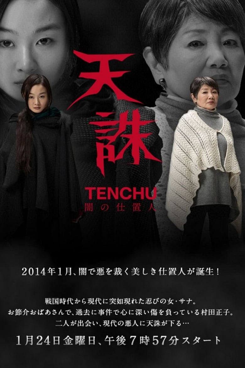 Poster of Episodes in Tenchu  Ninja Of Justice - Season 1 - Season 1