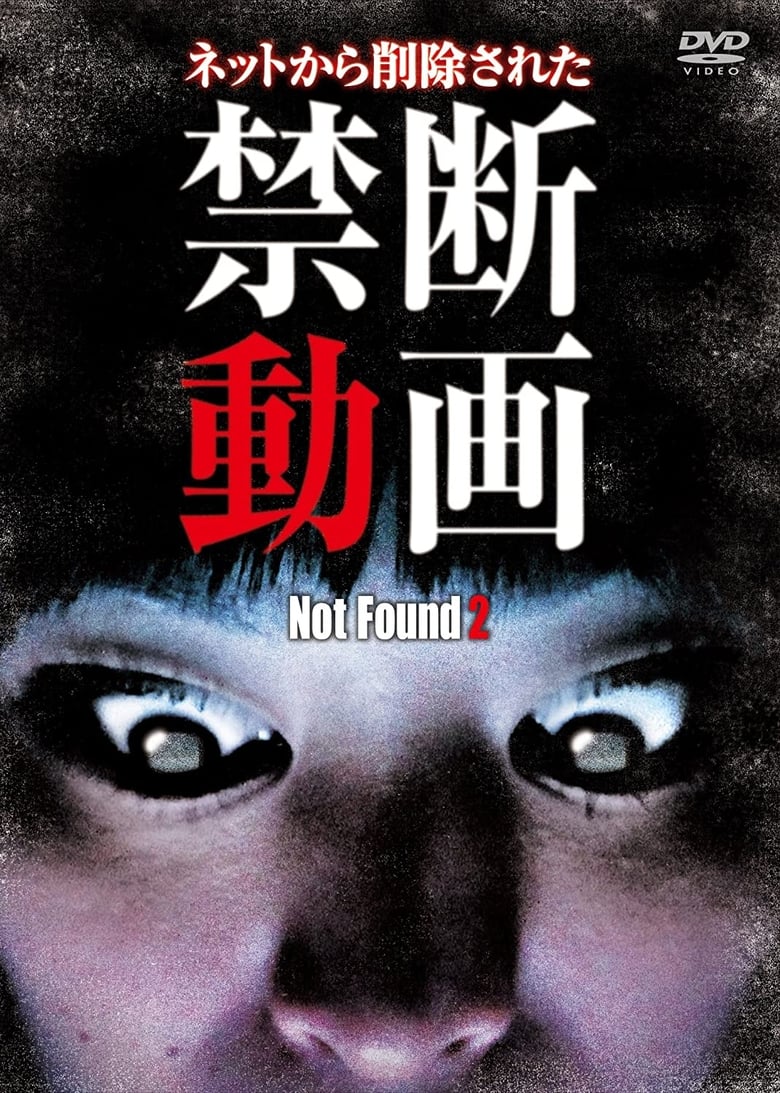 Poster of Not Found 2