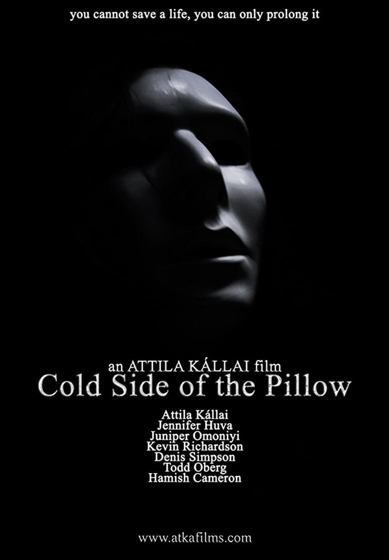 Poster of Cold Side of the Pillow