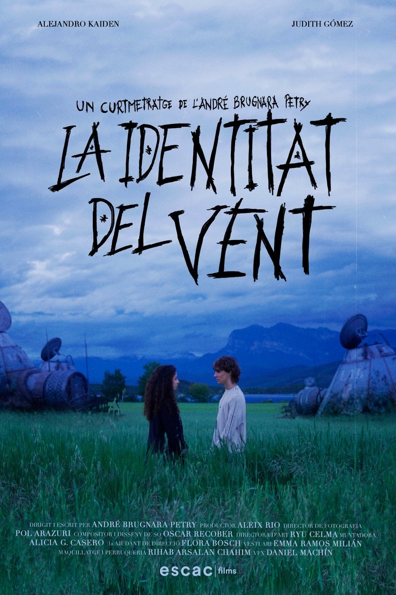 Poster of La identitat del vent