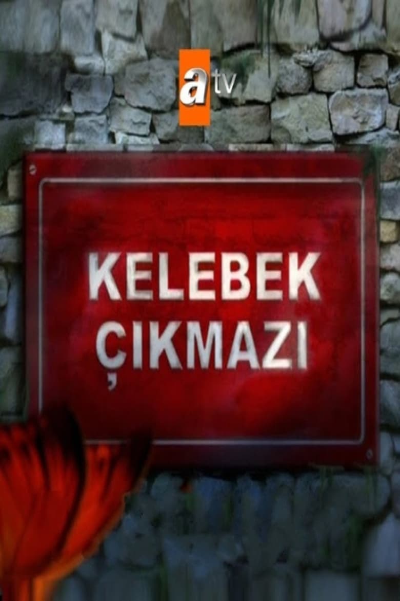 Poster of Kelebek Çıkmazı