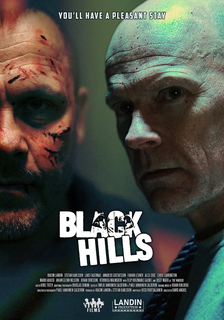 Poster of Black Hills