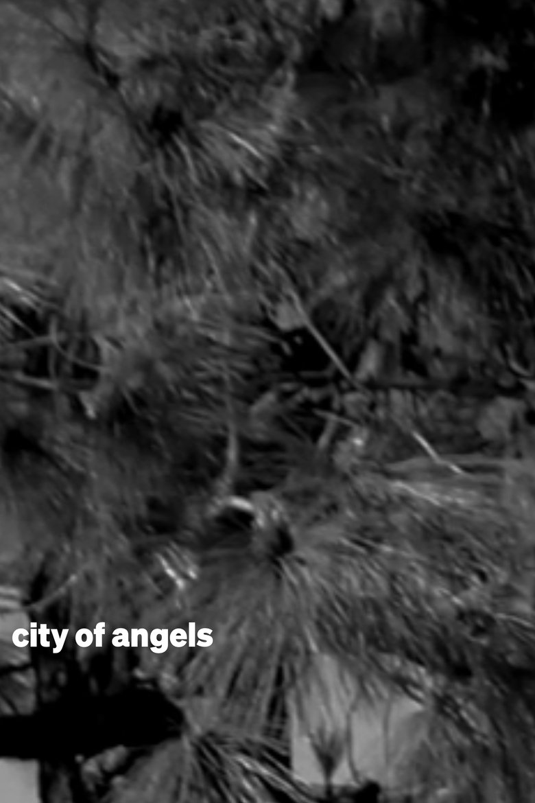 Poster of city of angels