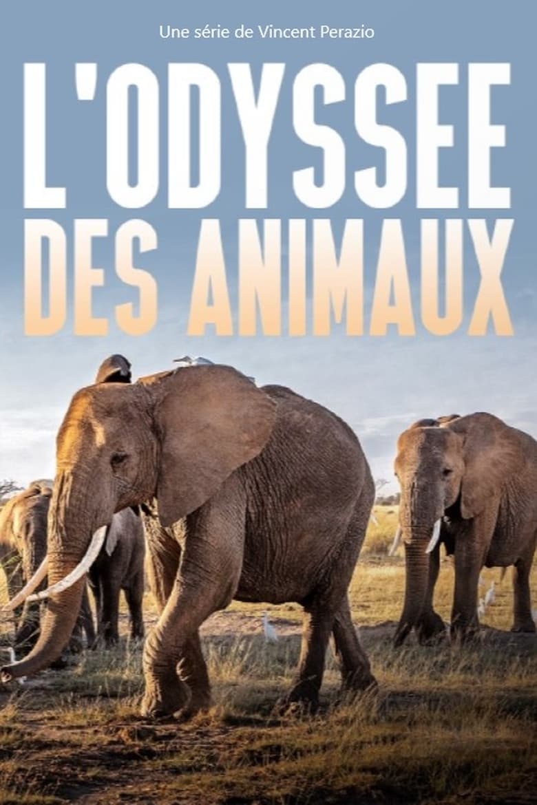 Poster of Episodes in L’Odyssée Des Animaux - Season 1 - Season 1