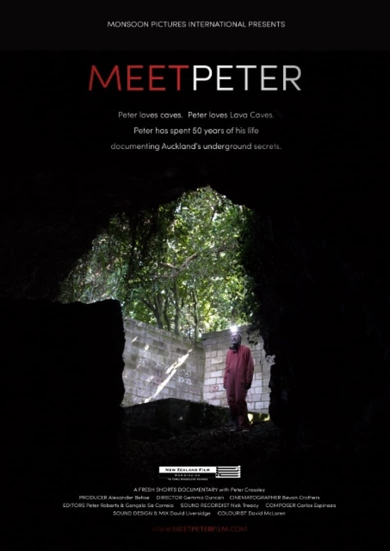 Poster of Meet Peter