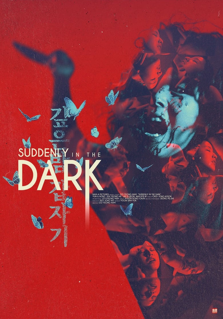 Poster of Suddenly in the Dark