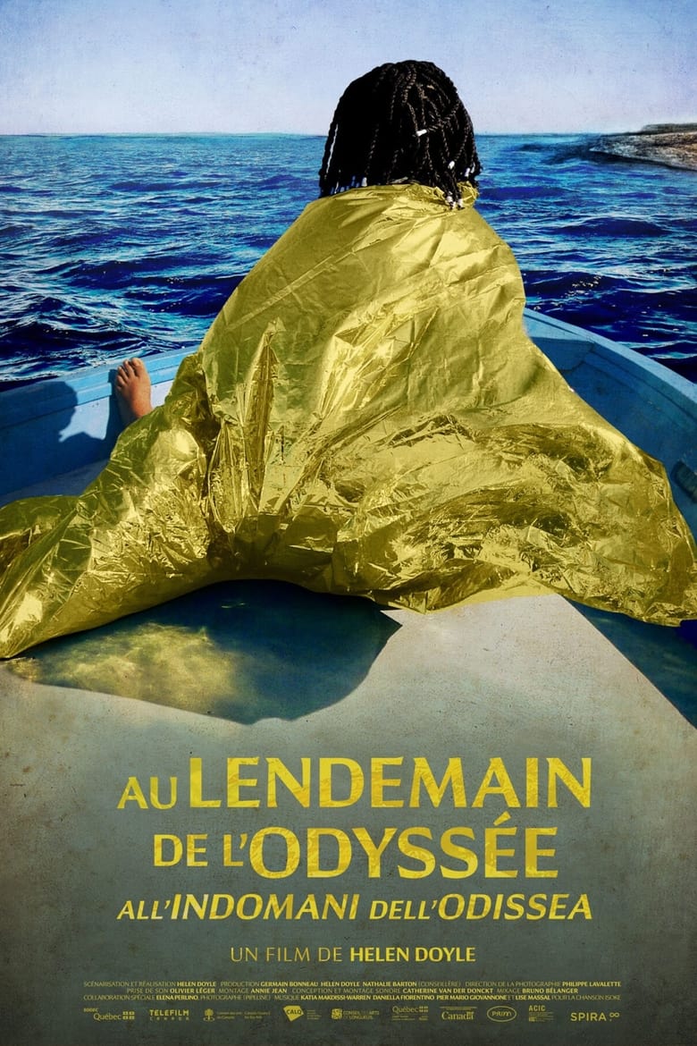 Poster of After the Odyssey