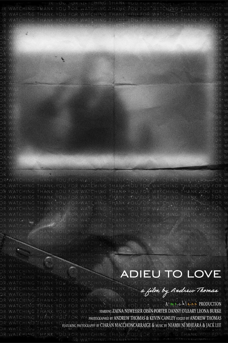 Poster of adieu to love