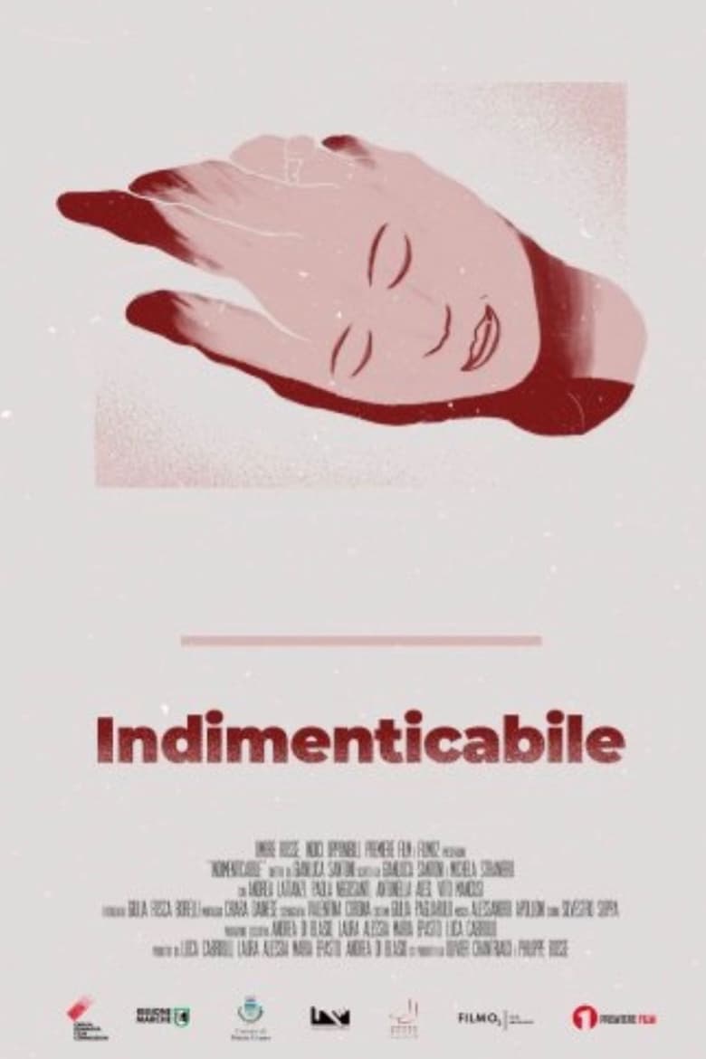 Poster of Indimenticabile