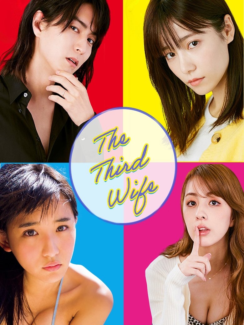 Poster of The Third Wife
