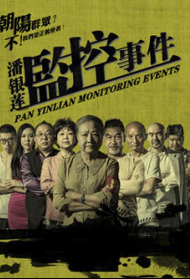 Poster of 潘银莲监控事件