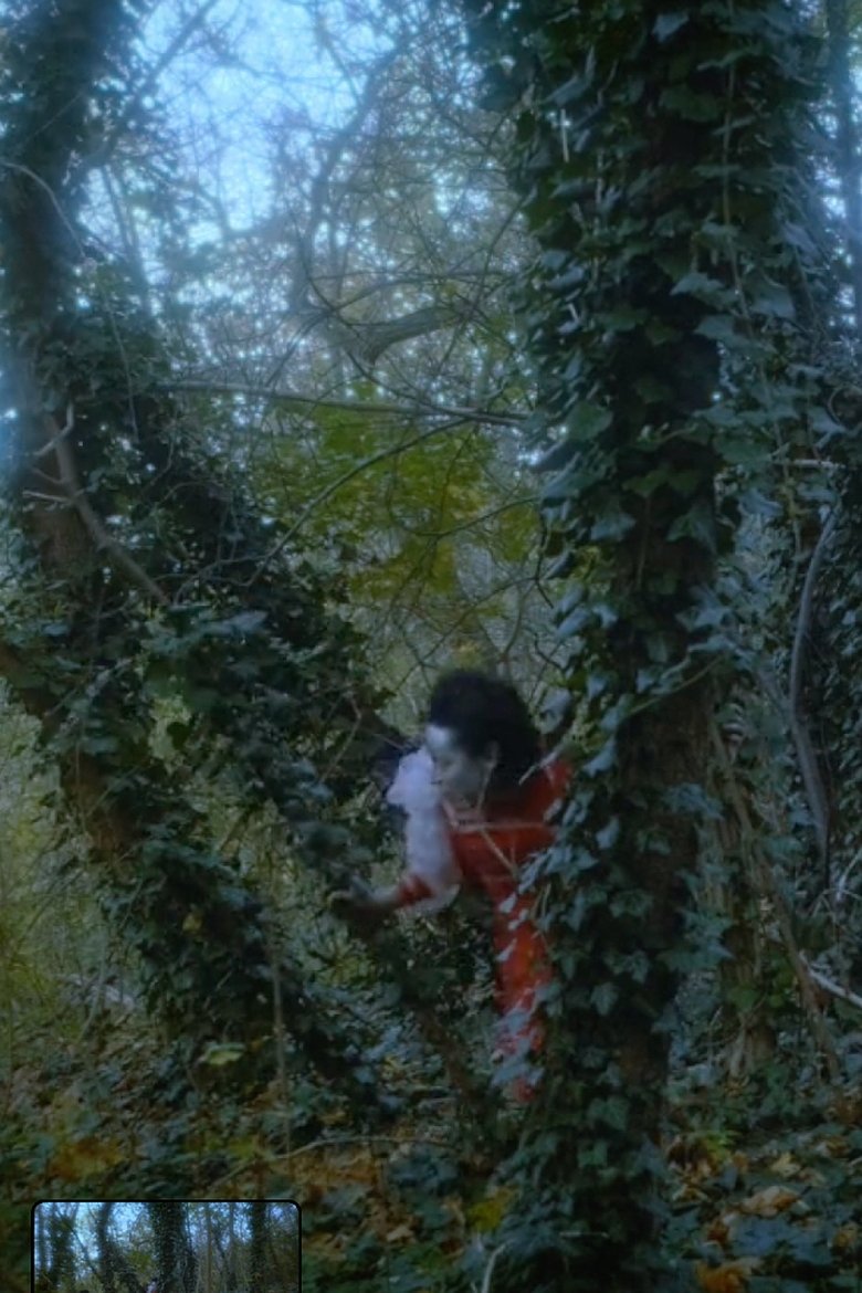 Poster of Thrymskvida