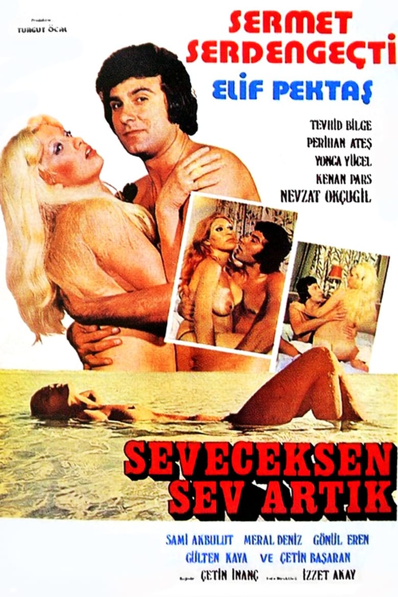 Poster of Seveceksen Sev Artık