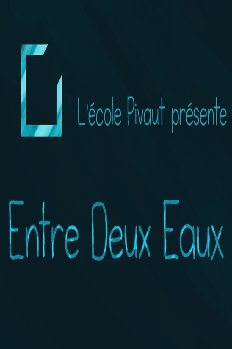 Poster of Entre deux eaux