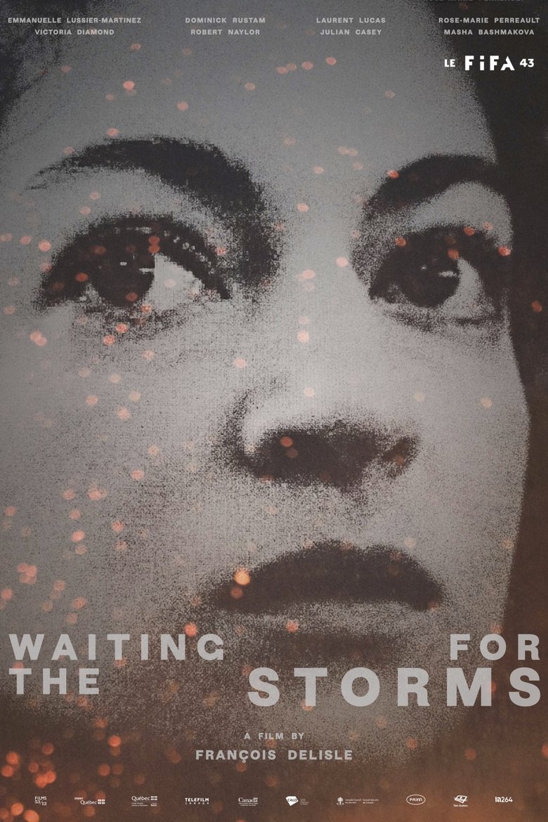 Poster of Waiting for the Storms