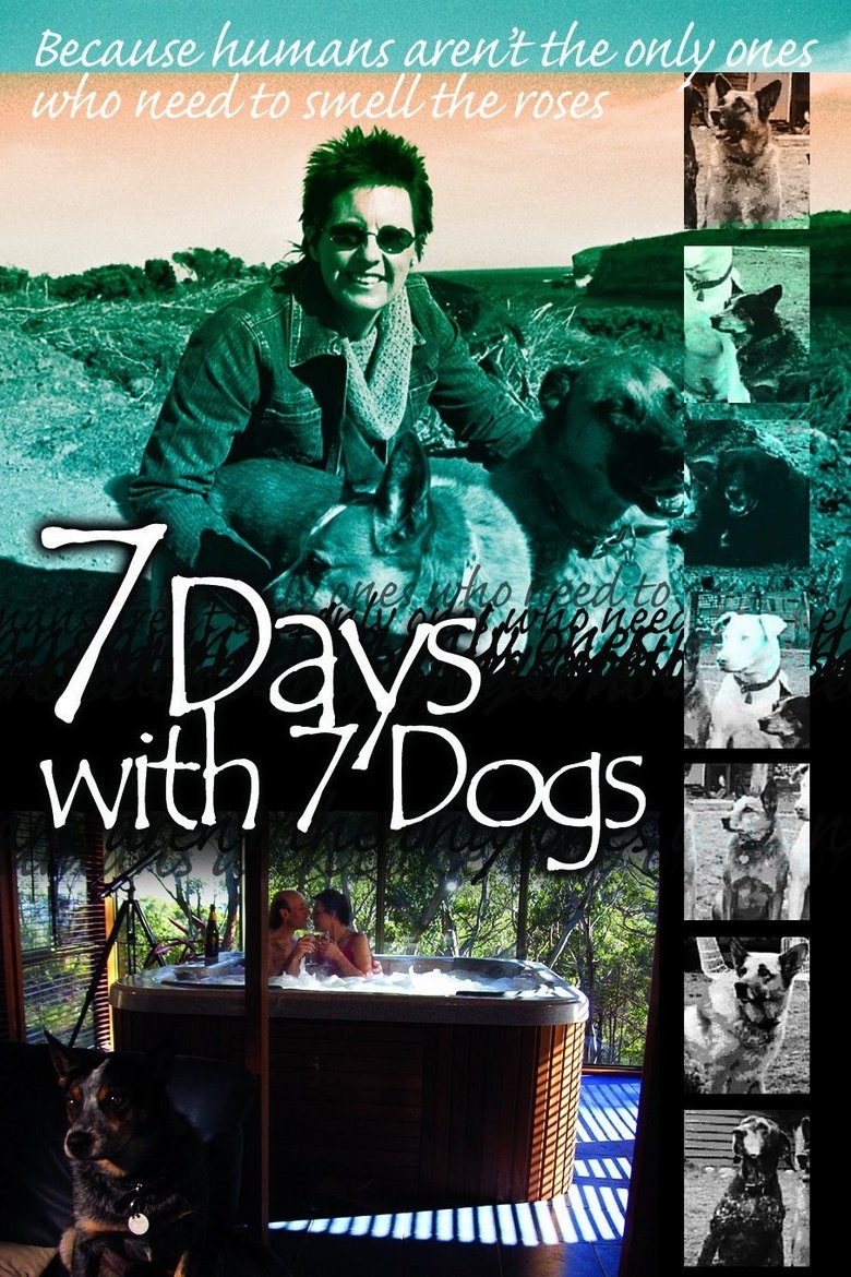 Poster of 7 Days with 7 Dogs