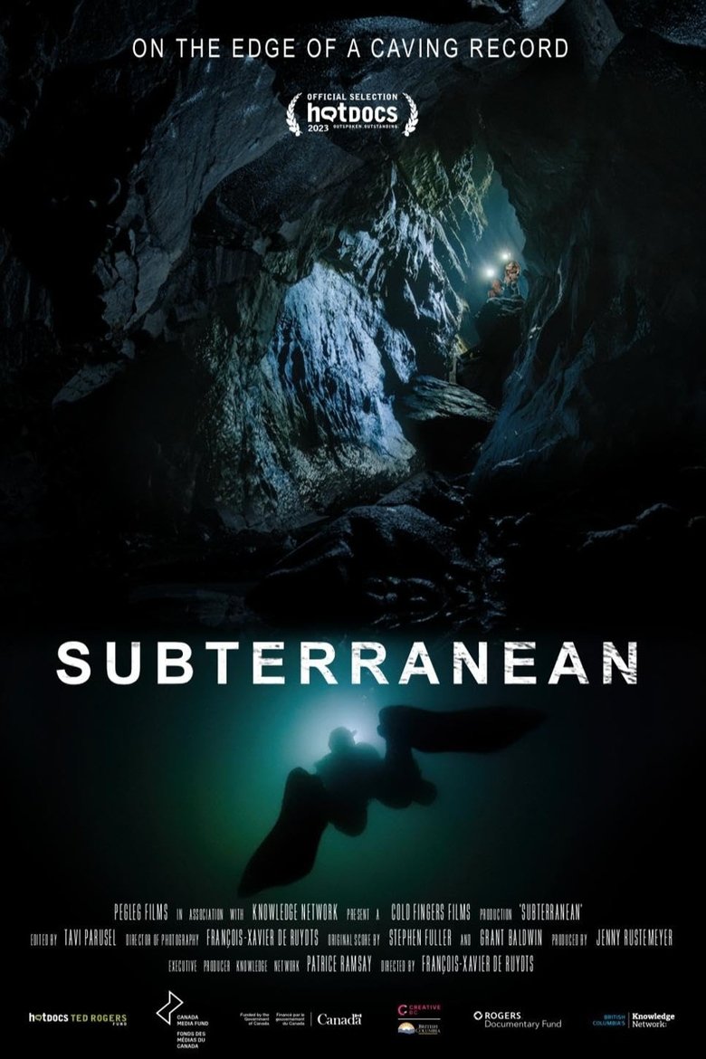 Poster of Subterranean
