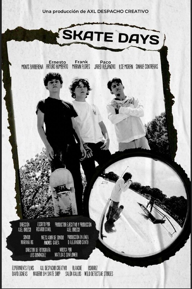 Poster of Skate Days