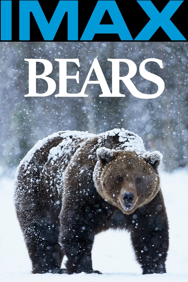 Poster of Bears