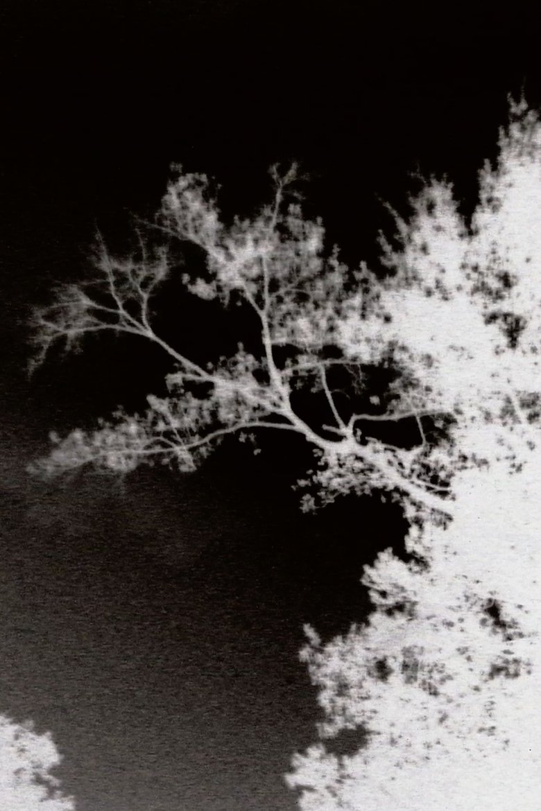 Poster of Gece ve Büyüleri