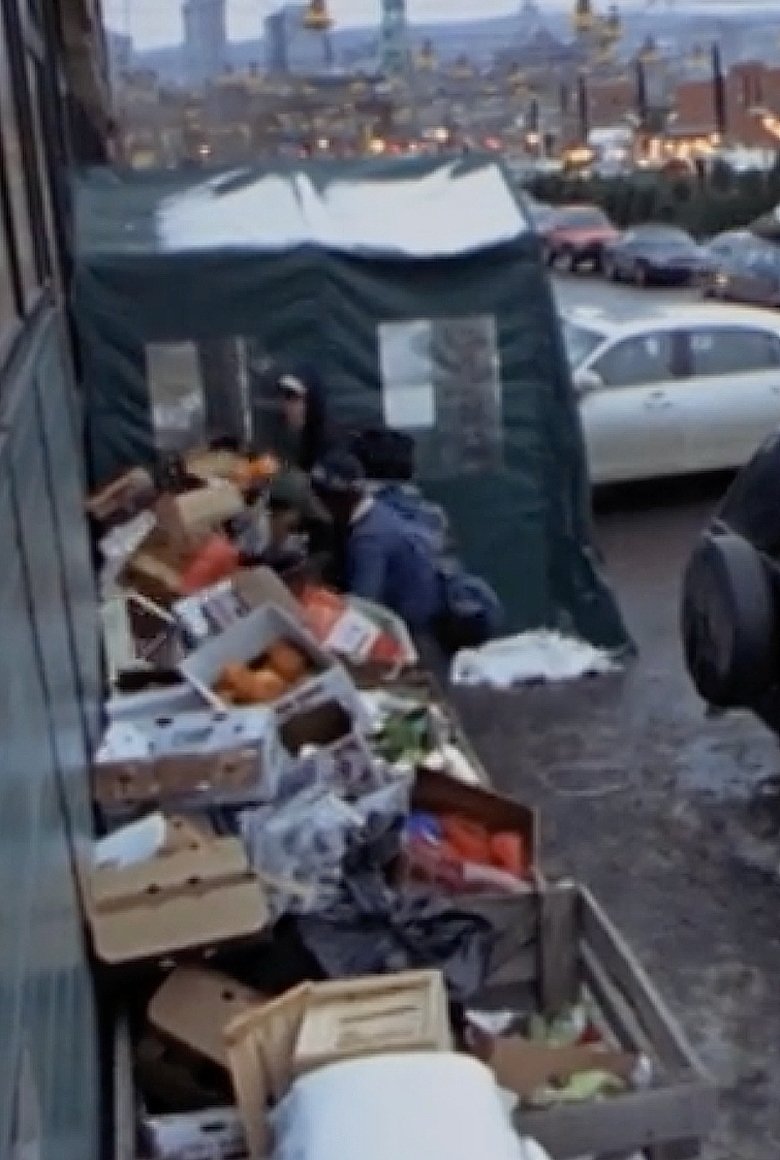 Poster of Surfing the Waste: a Musical Documentary about Dumpster Diving